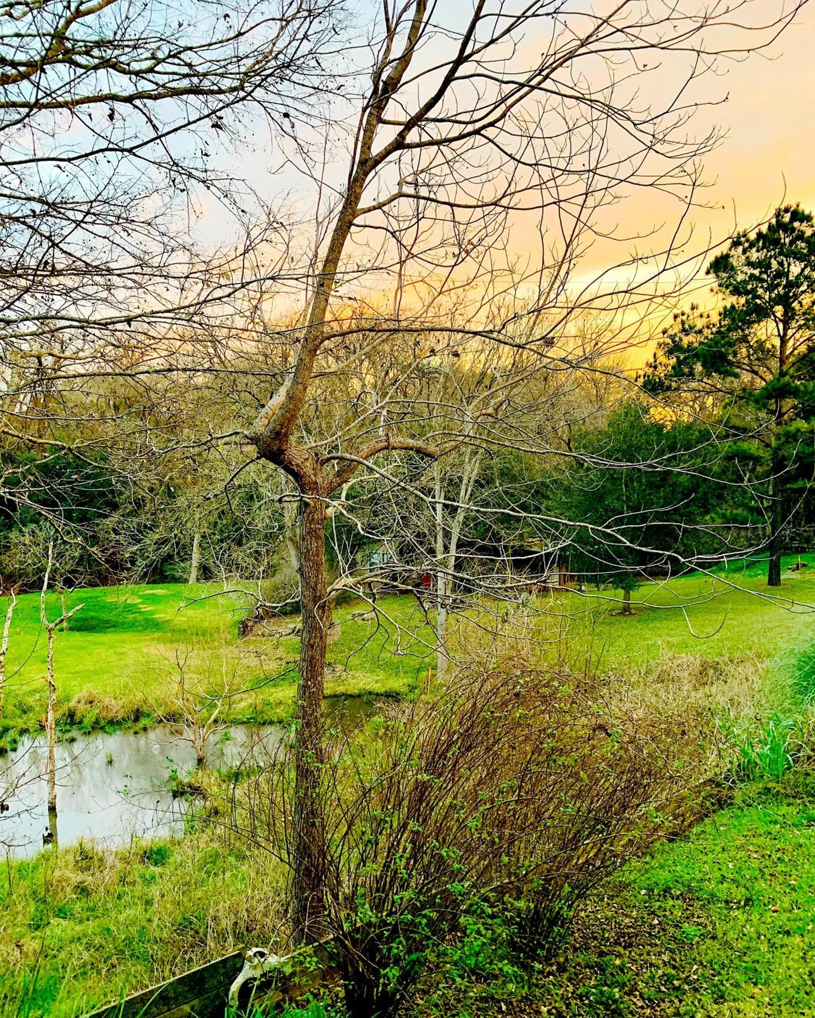 Circa 1900 - Historic - Romantic - Private - Pond - Fenced Yard - The Cottage At Chappell Hill Экстерьер фото